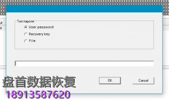Bitlocker解锁, Apple FileVault解锁加密分区并恢复数据