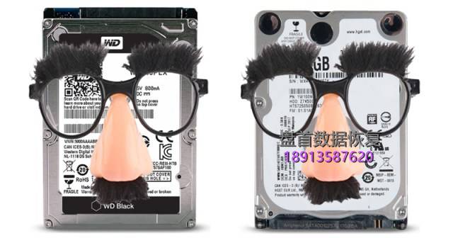 合资品牌硬盘标签的奇怪情况“老鼠老虎傻傻分不清楚”