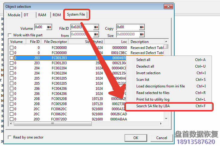 PC3000 for HDD如何通过Ctrl+X终端命令检查系统文件的损坏情况？